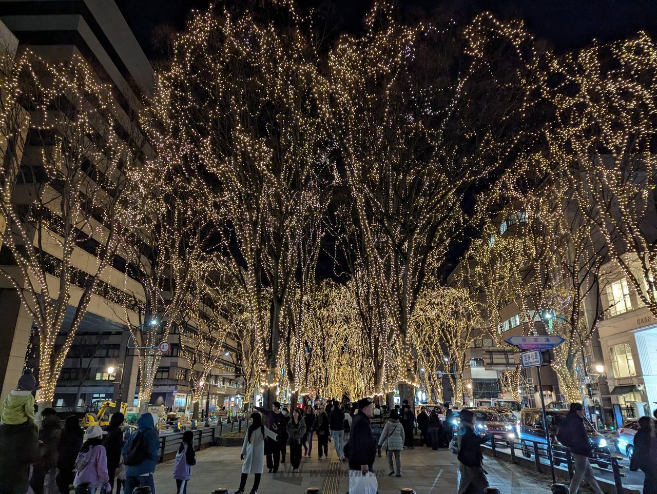 今朝仙台、シンシン...