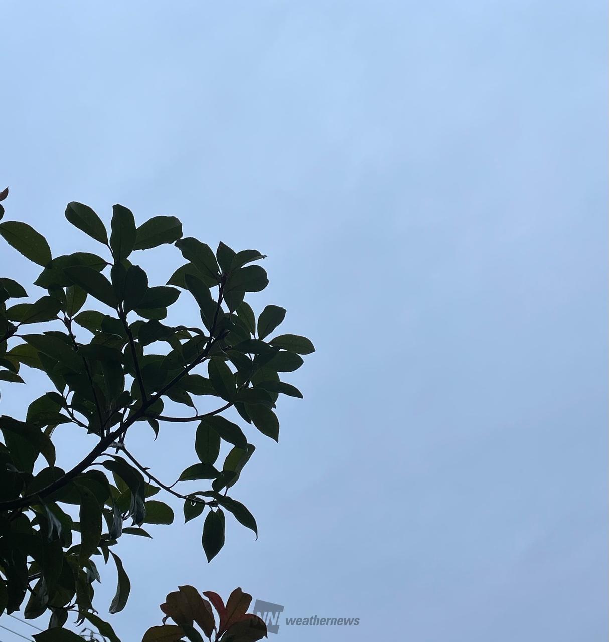 冷たい雨が静かに降...