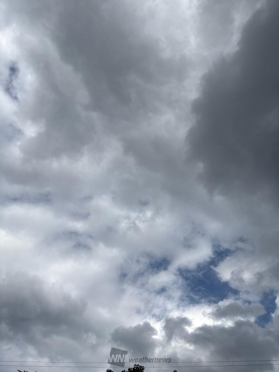 晴れ間も出てきまし...