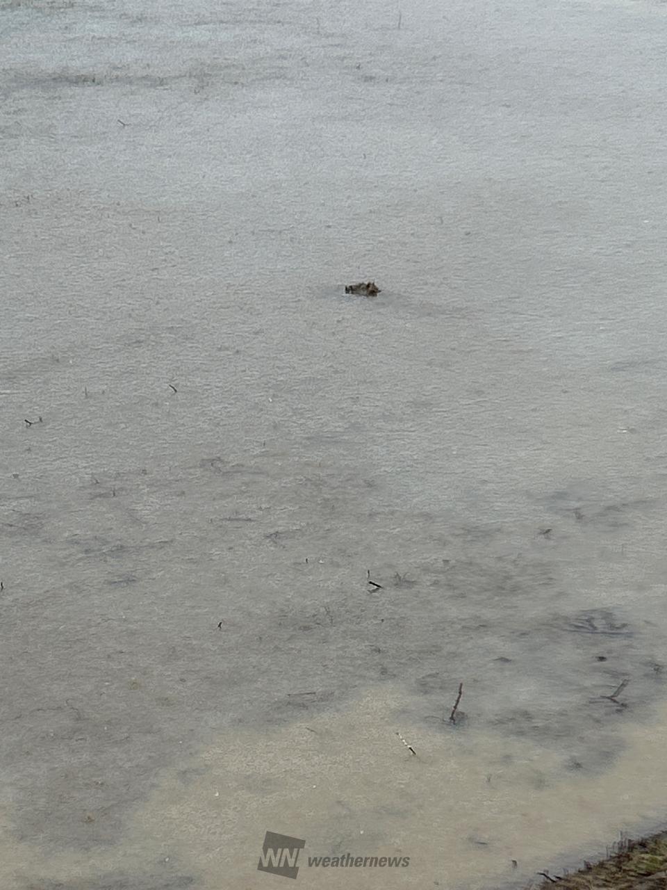 雨エリア拡大 注目の空の写真 ウェザーニュース