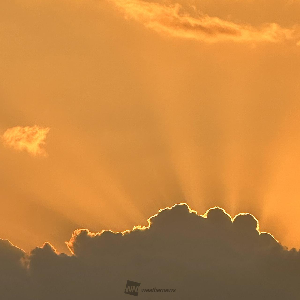 柔らかなカラーの夕焼け 注目の空の写真 ウェザーニュース
