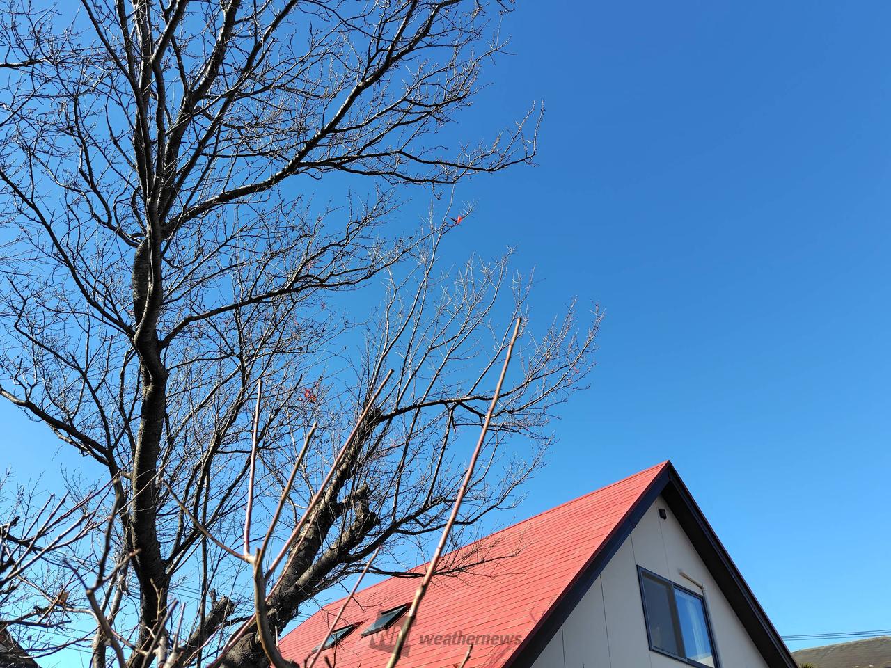 青い空 注目の空の写真 ウェザーニュース