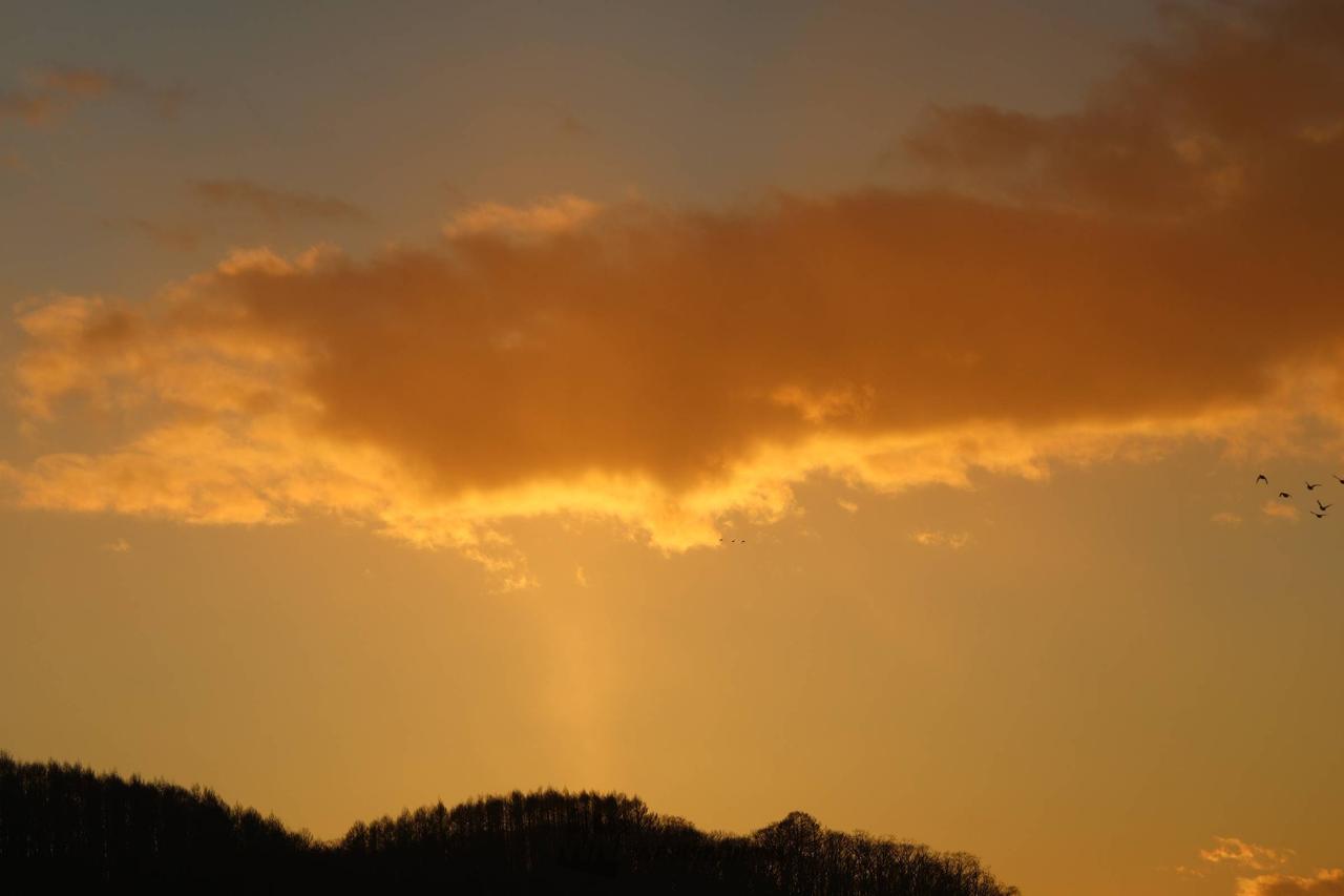 夕焼けtime 注目の空の写真 ウェザーニュース