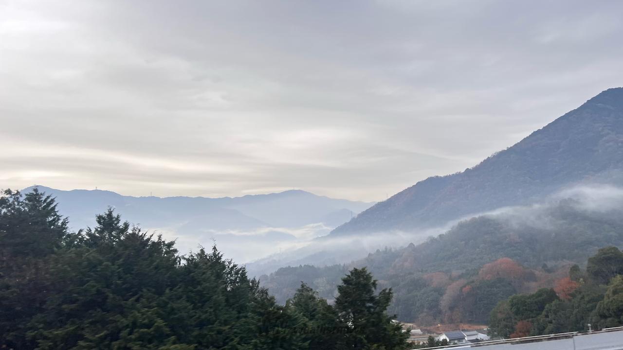 濃霧が発生 注目の空の写真 ウェザーニュース