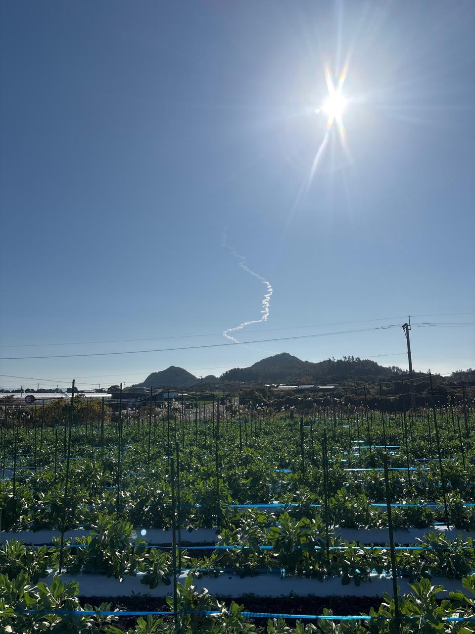 H3ロケット8号機打ち上げの様子🚀 注目の空の写真 ウェザーニュース