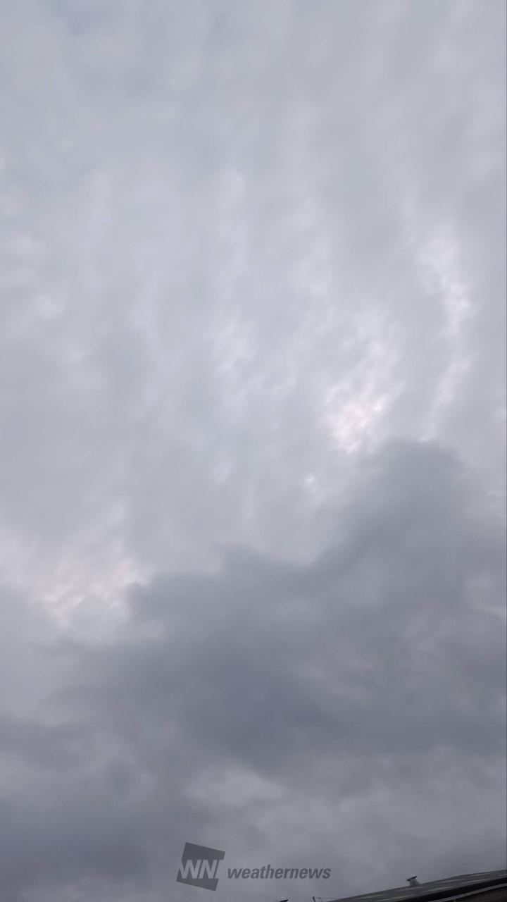 曇り 雨は止んでいますがどんより曇り空です。 | 愛知県岩倉市 | りんてつ