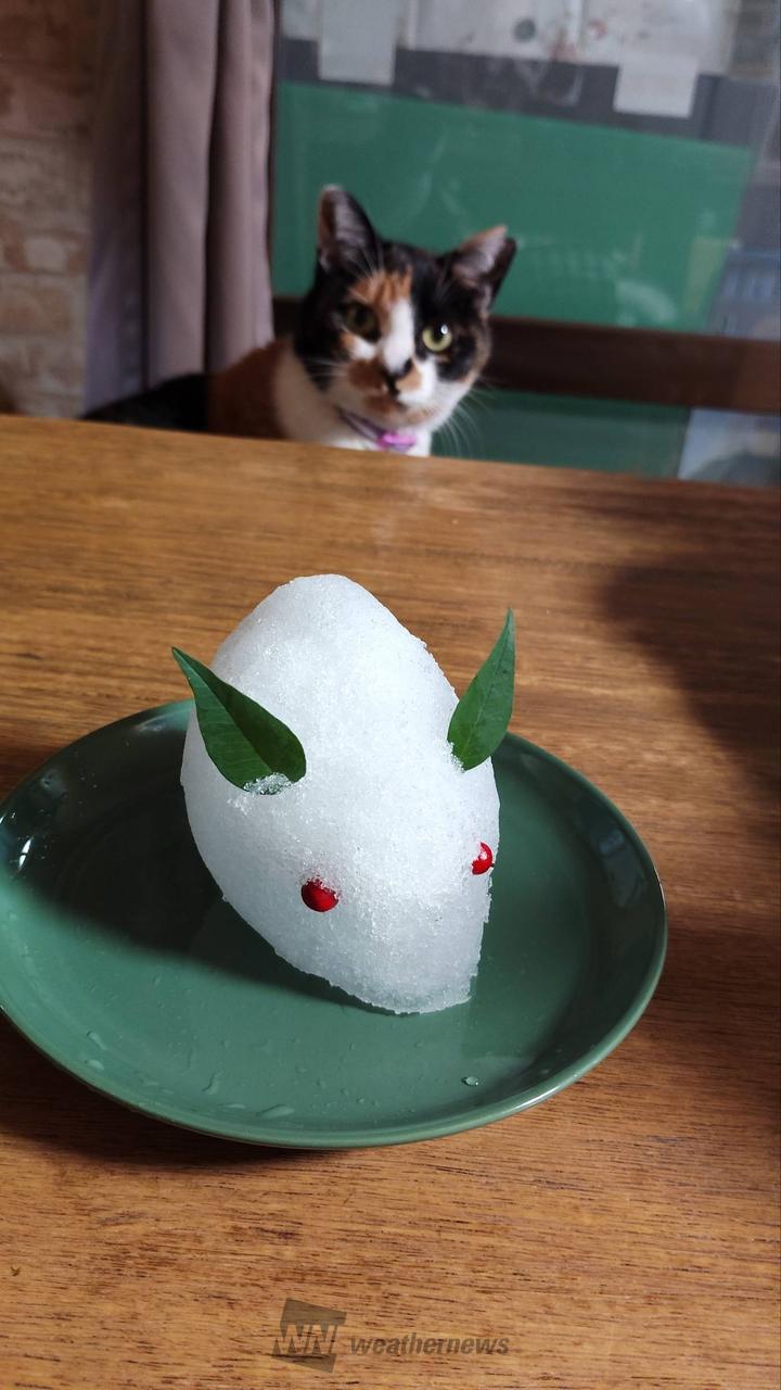 ⛄️雪だるまちゃん 注目の空の写真 ウェザーニュース