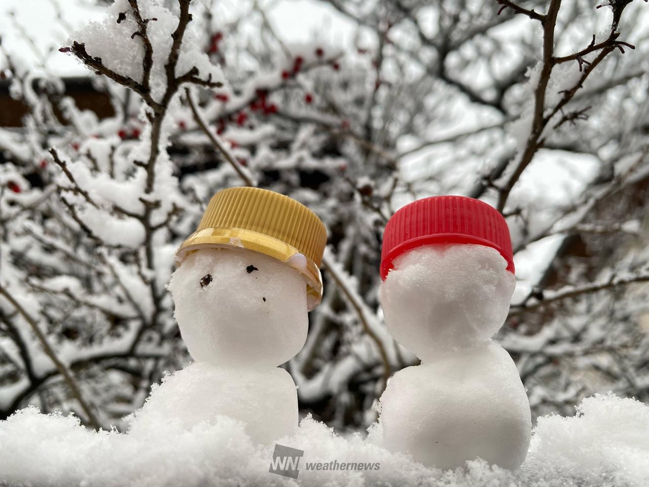 ⛄️雪だるまちゃん 注目の空の写真 ウェザーニュース
