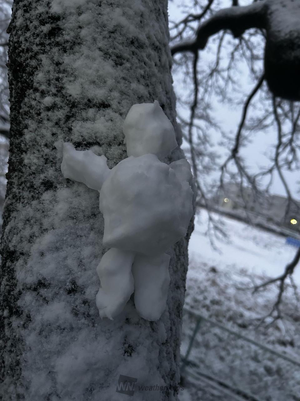 ⛄️雪だるまちゃん 注目の空の写真 ウェザーニュース