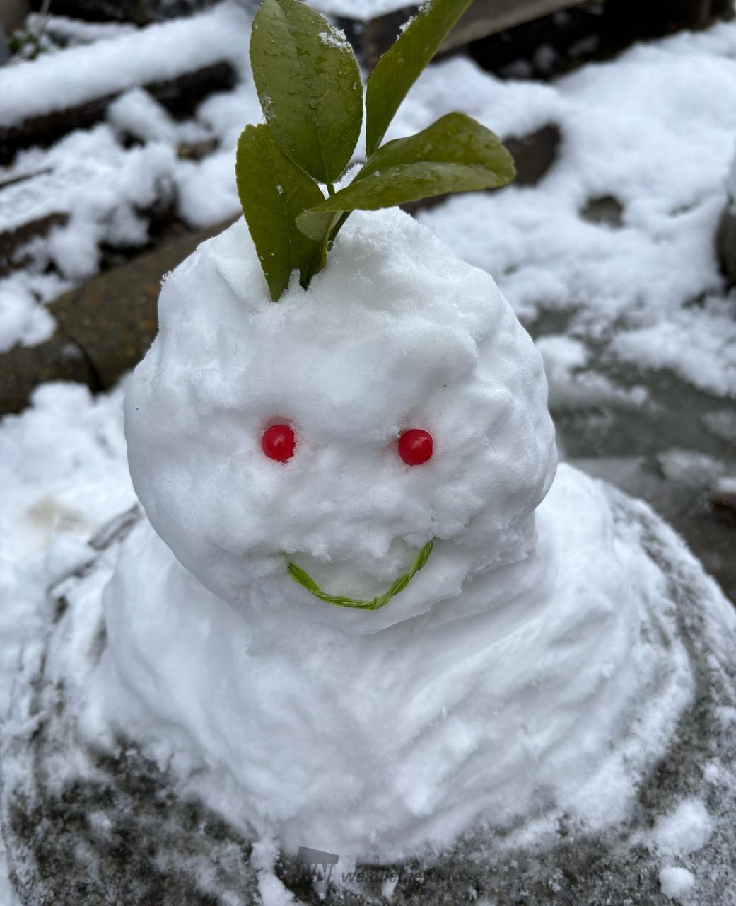 雪だるまページ Amazon | Sizzix シーズン冬 ゆきだるま 3 656732 【日本正規品