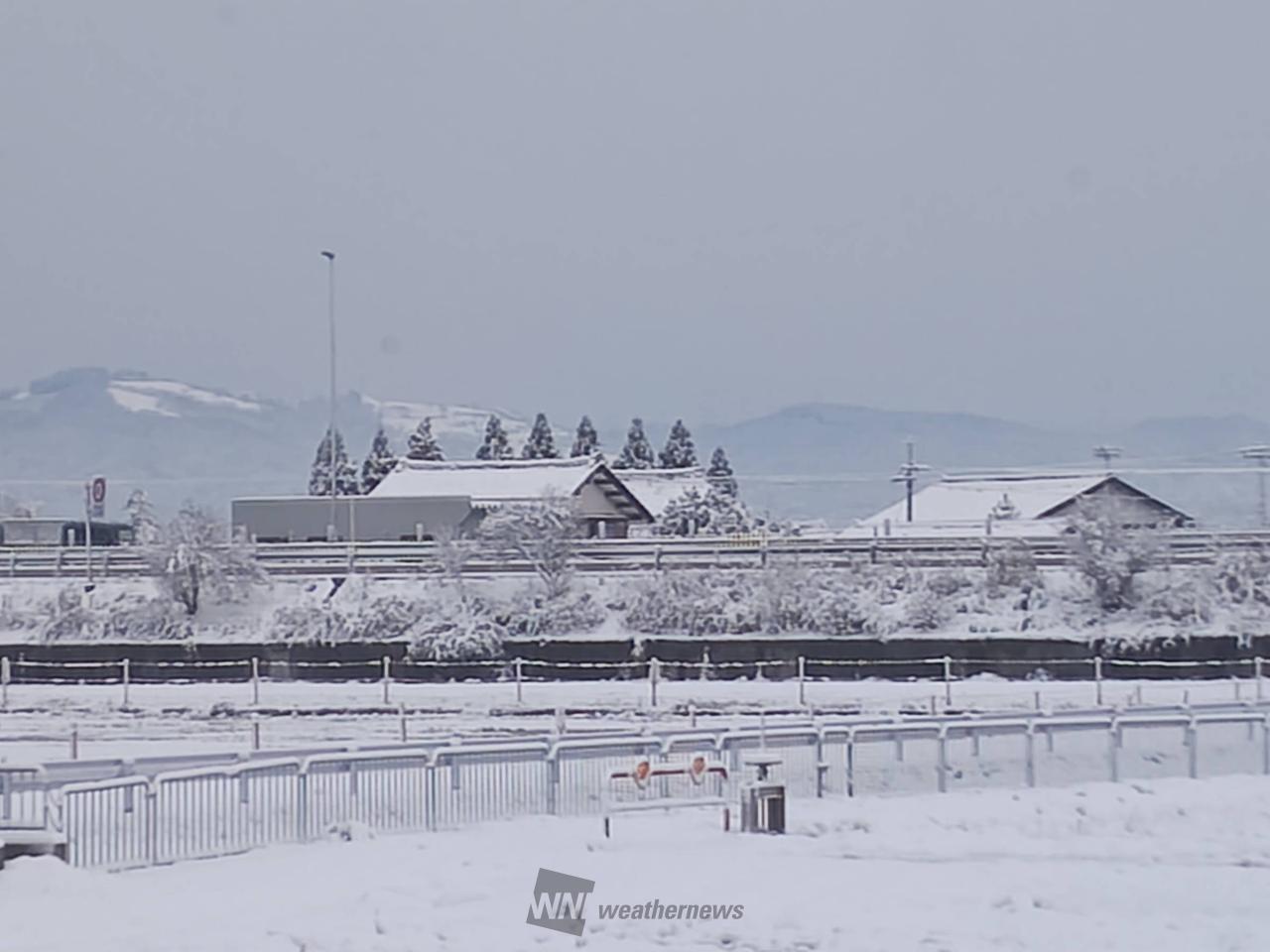 辺り一面雪景色です、10〜12㌢位の積雪 | 富山県砺波市 | -まあちゃん
