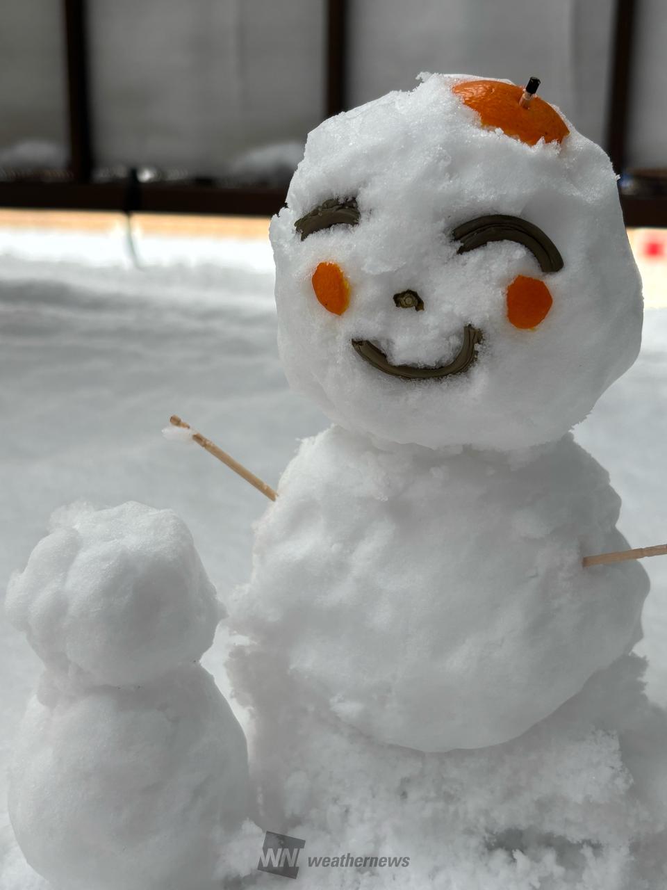 雪だるまさま専用ページ♡29日迄☆他の方購入不可 雪だるまファミリーのマトリョーシカ | COLOR LABEL EnCOUNTER