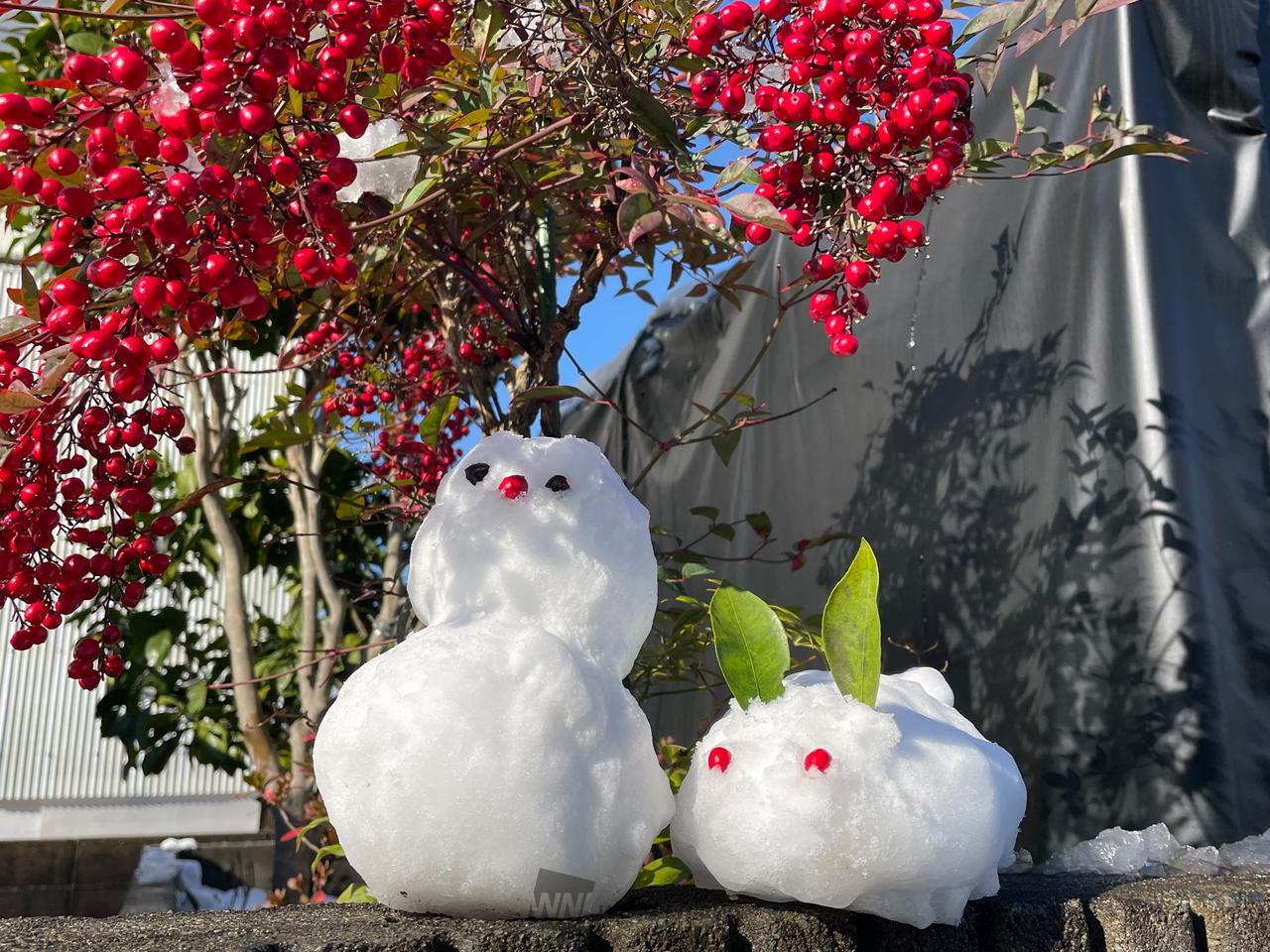 ⛄️雪だるまちゃん 注目の空の写真 ウェザーニュース