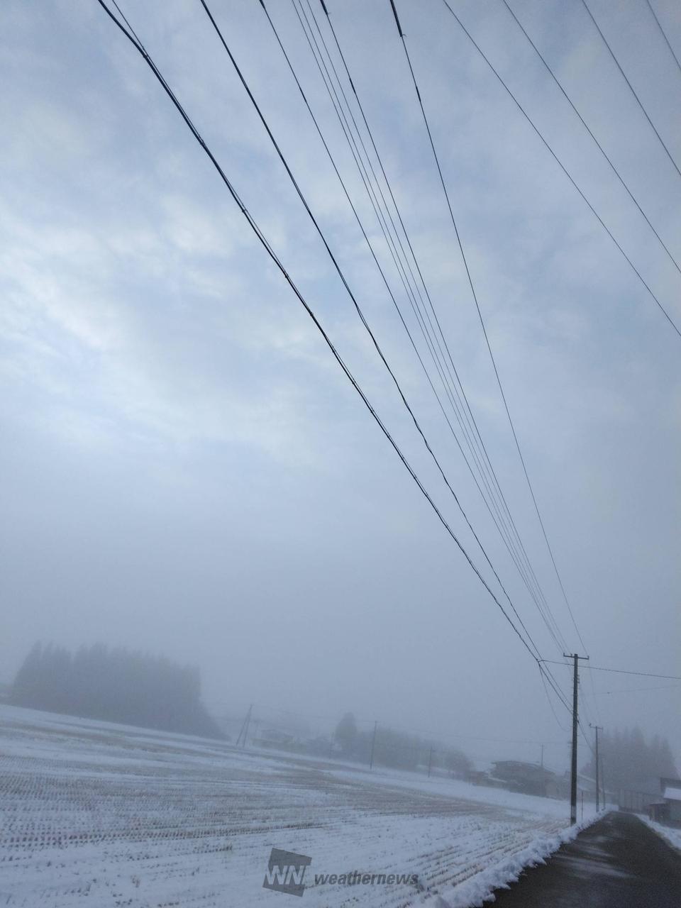 霧で真っ白の視界に 注目の空の写真 ウェザーニュース