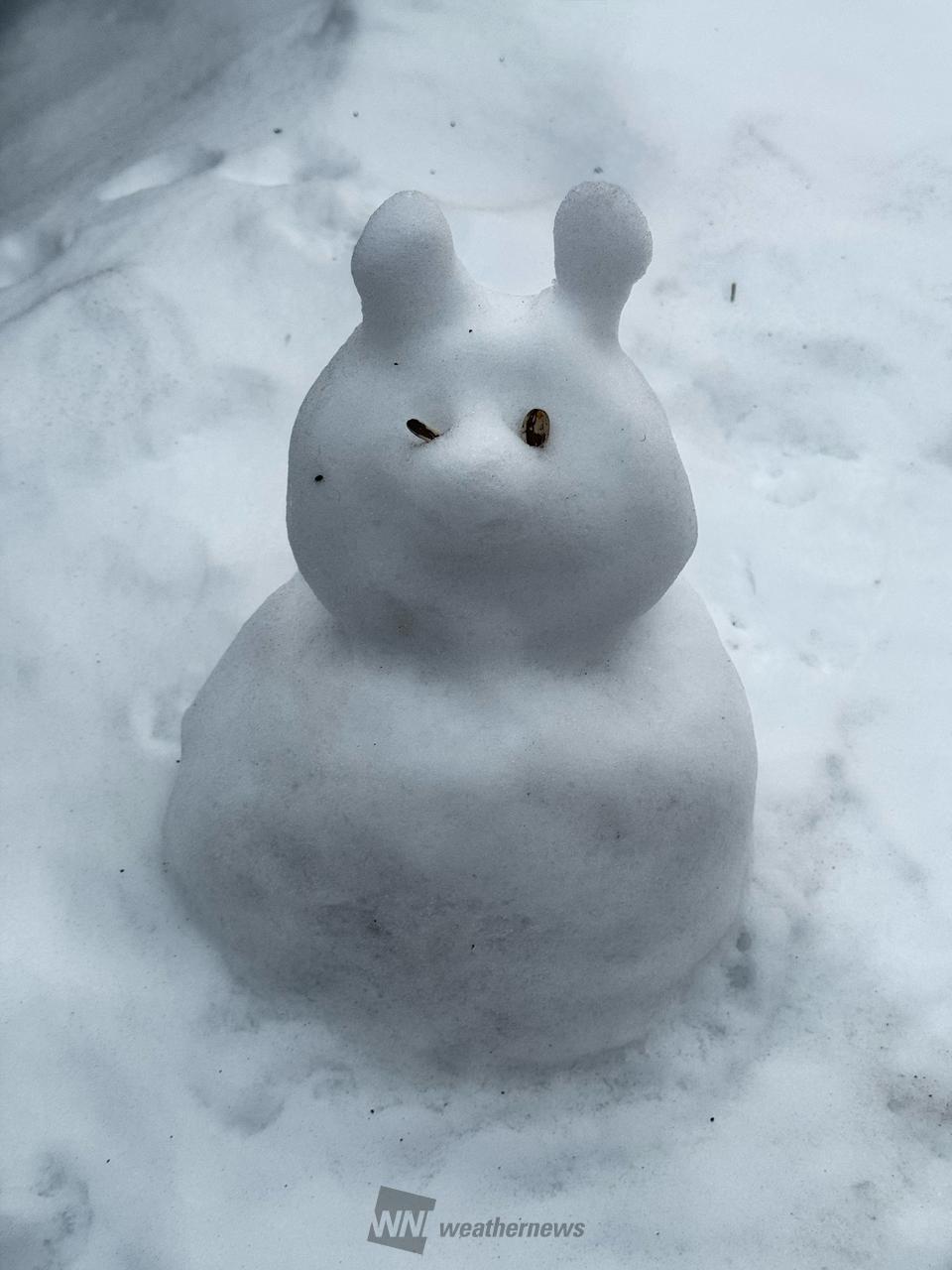 力作！雪だるま 注目の空の写真 ウェザーニュース