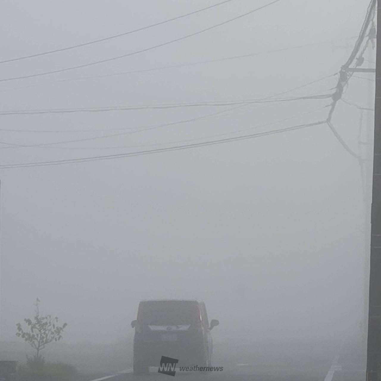 霧で真っ白の視界に 注目の空の写真 ウェザーニュース