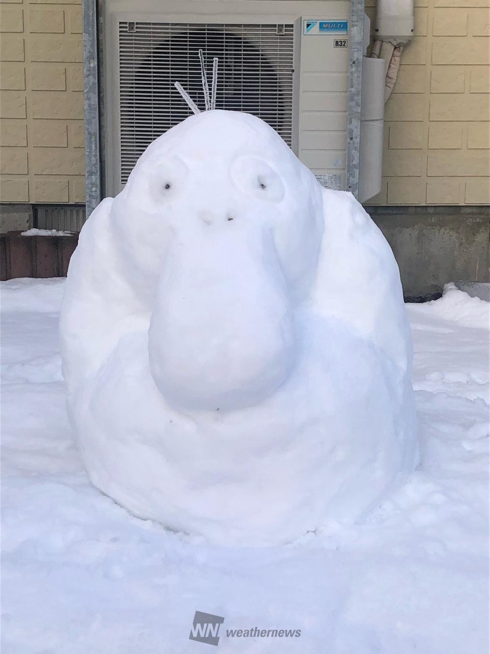 力作！雪だるま 注目の空の写真 ウェザーニュース