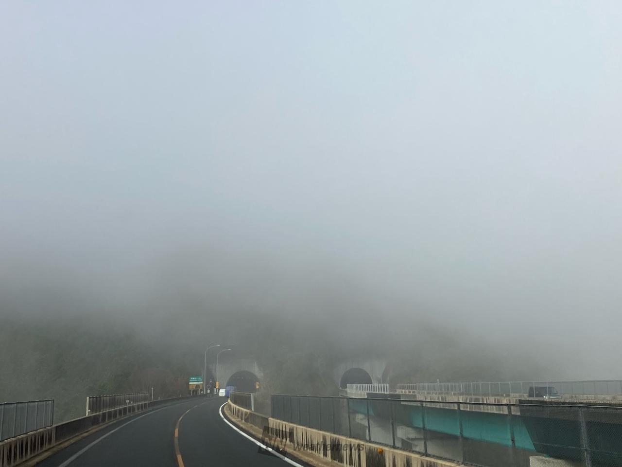 霧で真っ白の視界に 注目の空の写真 ウェザーニュース