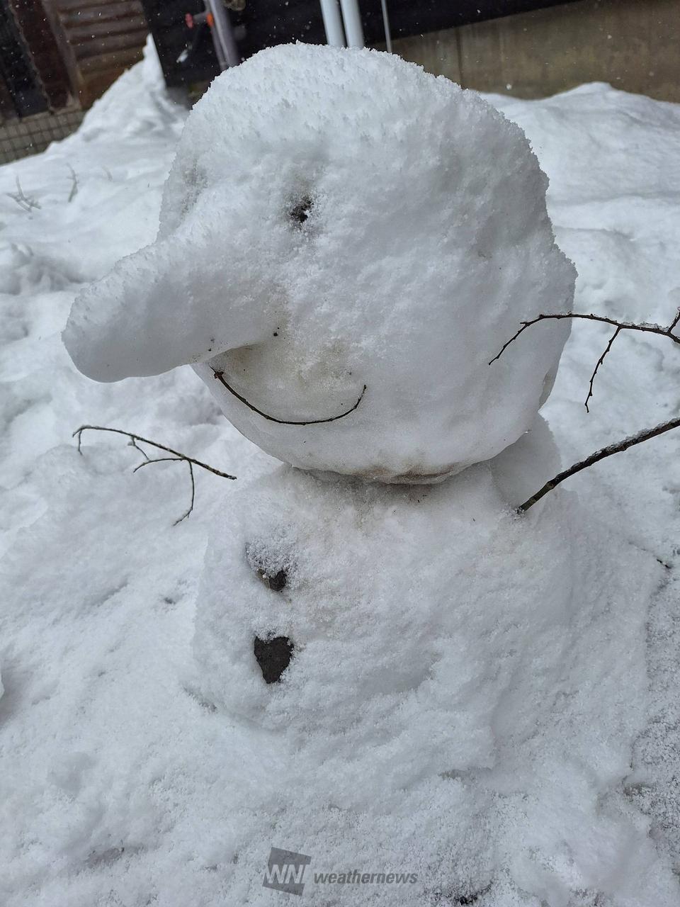 雪だるま⛄❄ 力作！雪だるま 注目の空の写真 ウェザーニュース
