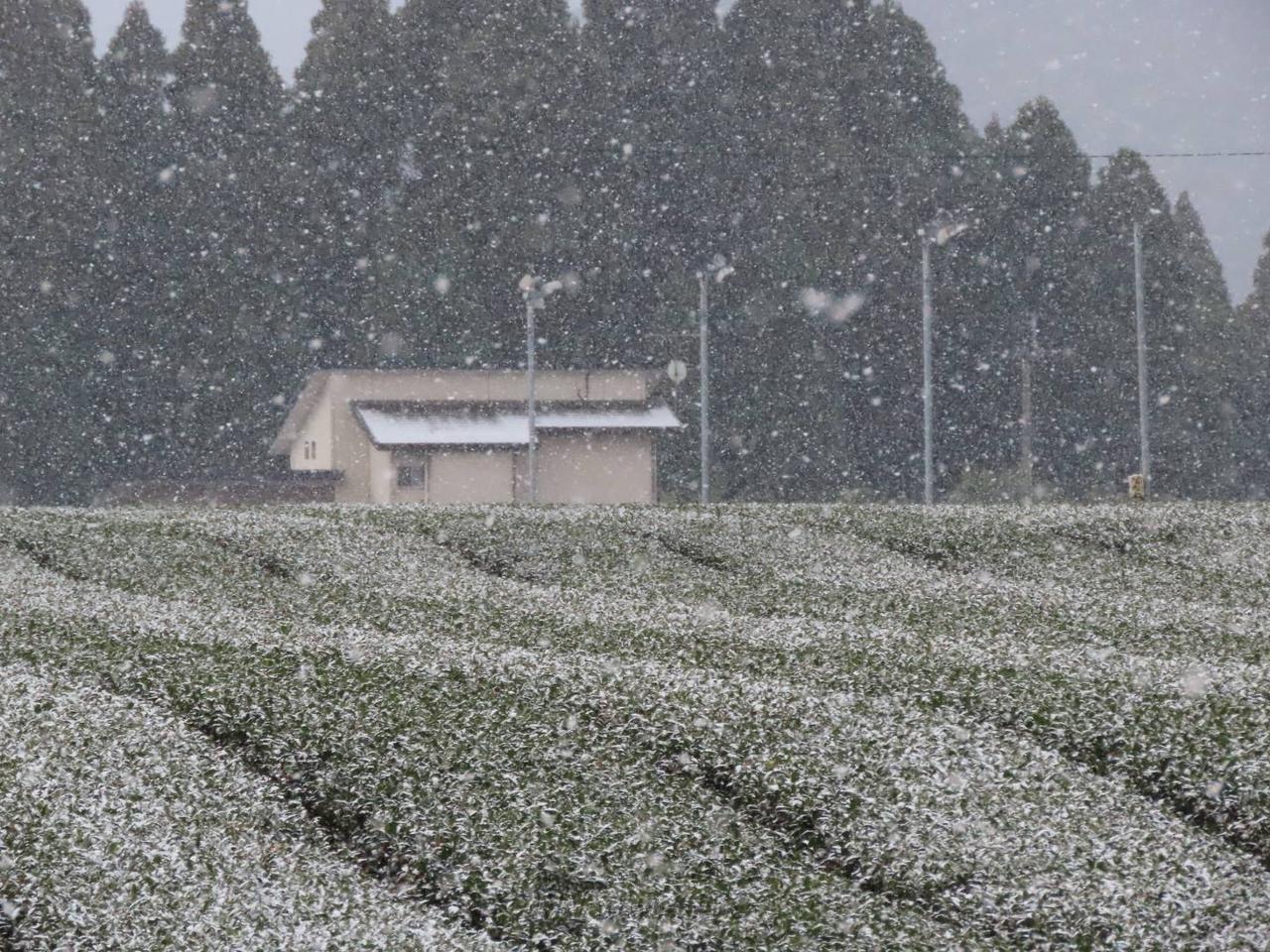 九州も雪に 注目の空の写真 ウェザーニュース