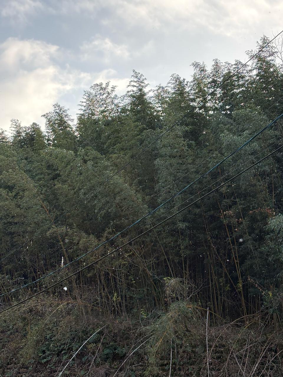 鹿児島で初雪❄️ 注目の空の写真 ウェザーニュース