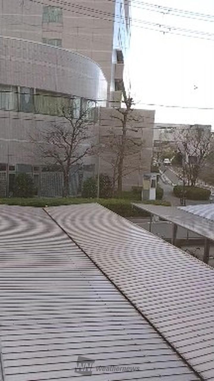大阪で初雪❄️ 注目の空の写真 ウェザーニュース