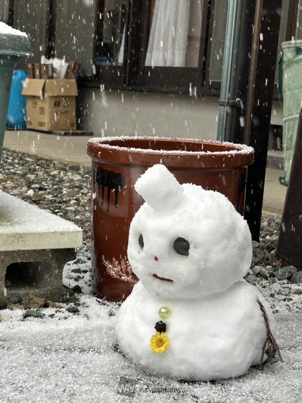 雪だるま☃️ 注目の空の写真 ウェザーニュース