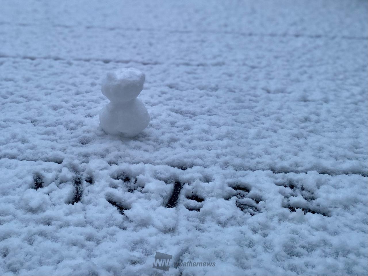 雪だるま☃️ 注目の空の写真 ウェザーニュース