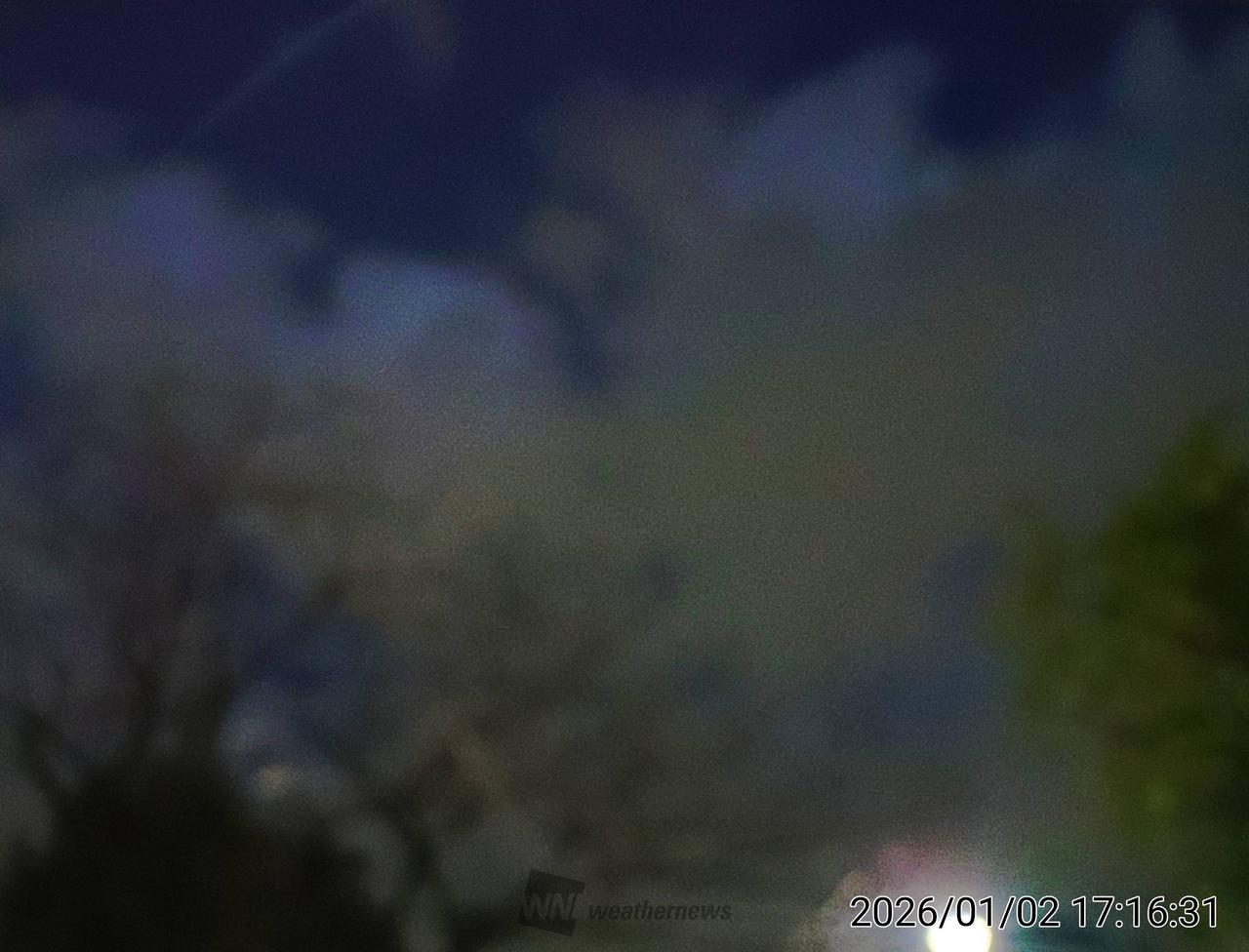 雲り。空も見えますが、冷たい風に乗って雨 | 東京都江戸川区 | タコ@octpus | ウェザーニュース