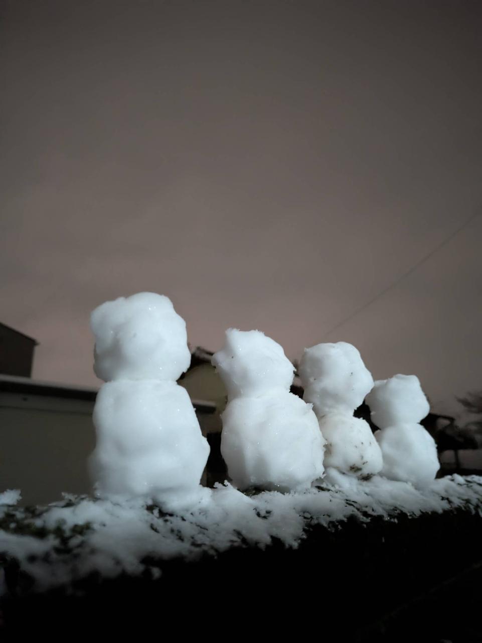 雪が止みました、ミニ雪だるまさん作りまし | 群馬県館林市 | -次郎