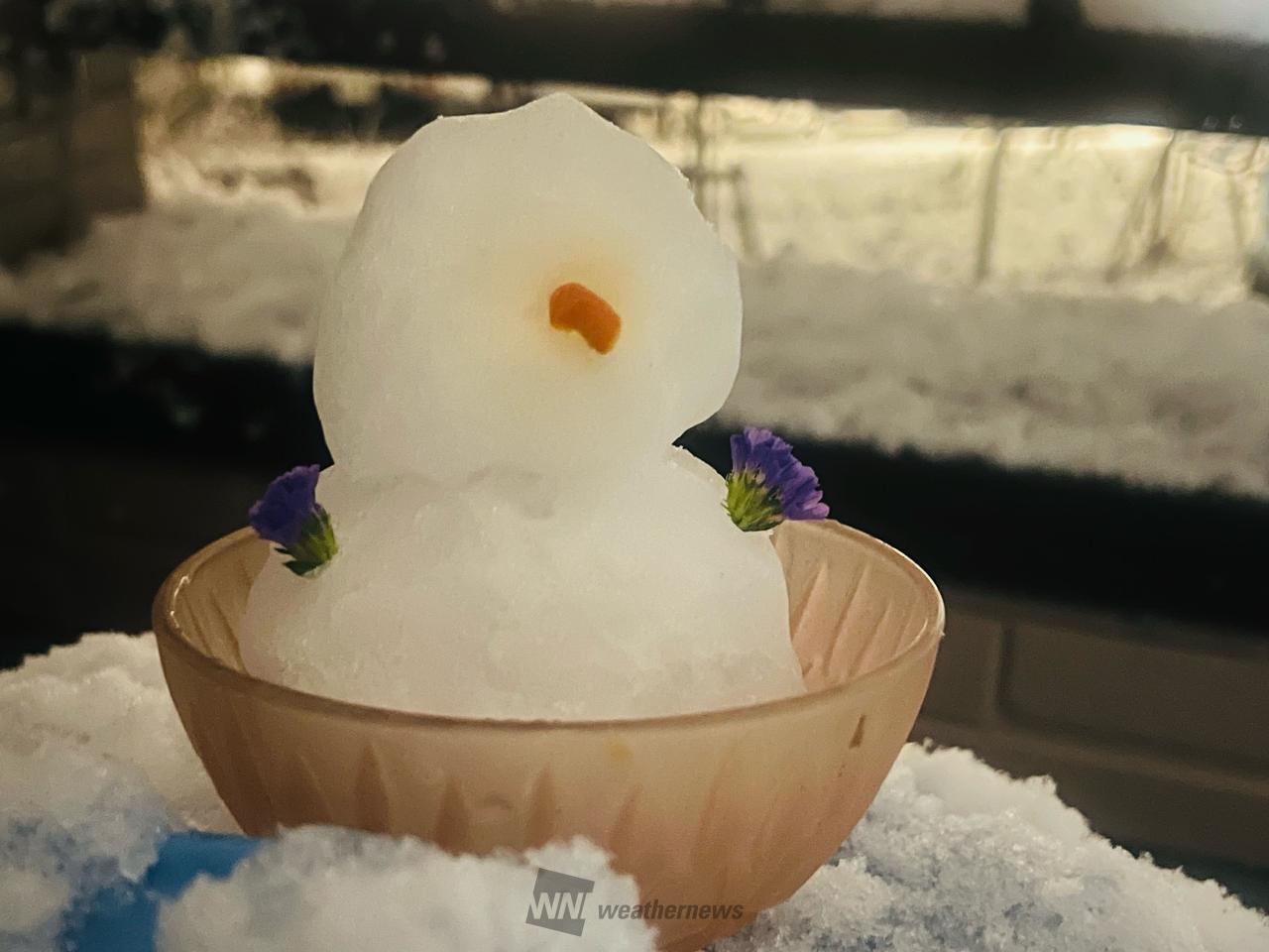 雪だるま☃️ 注目の空の写真 ウェザーニュース