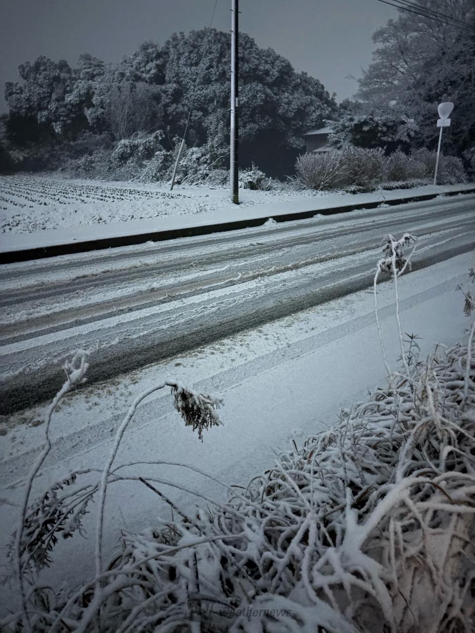 関東雪類似2026.1.2 平野部でも積雪 注目の空の写真 ウェザーニュース