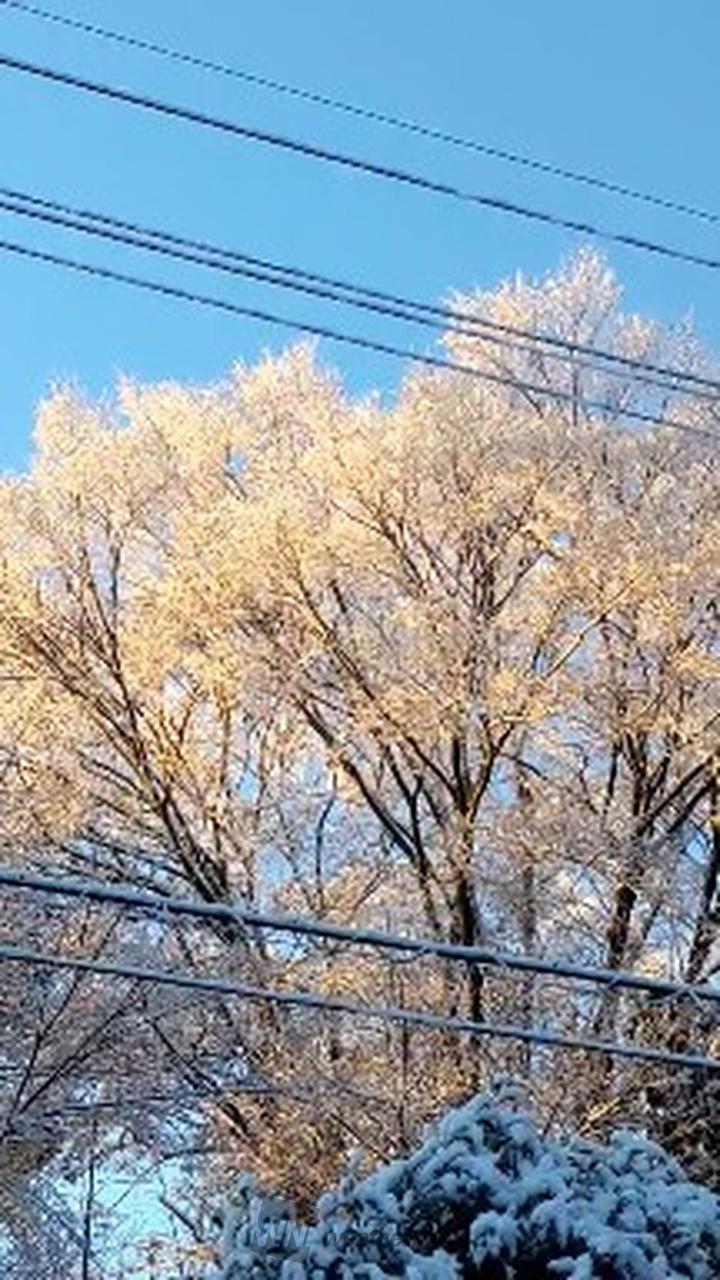 つくば みらい 市 の 天気