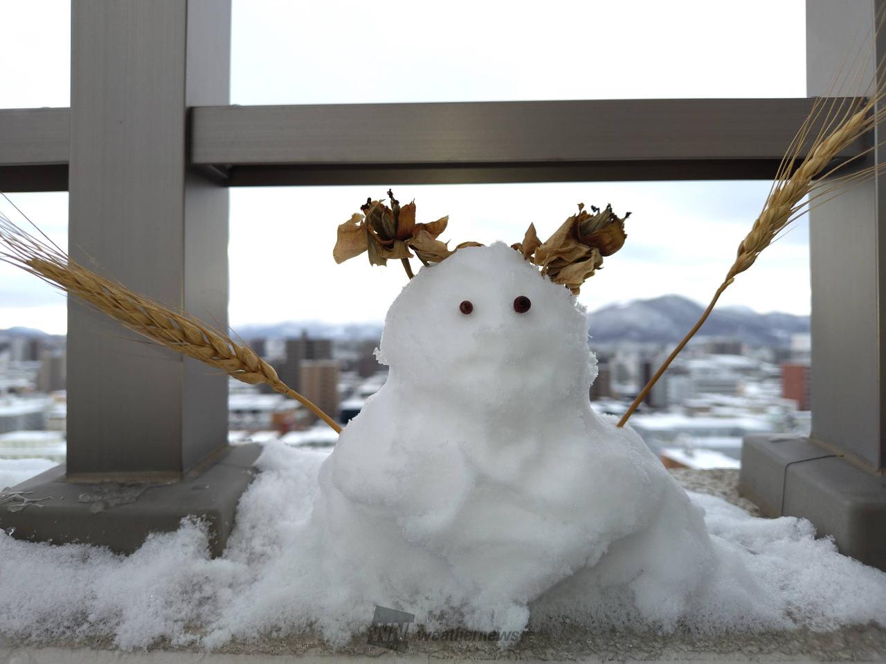 雪だるま☃️ 注目の空の写真 ウェザーニュース