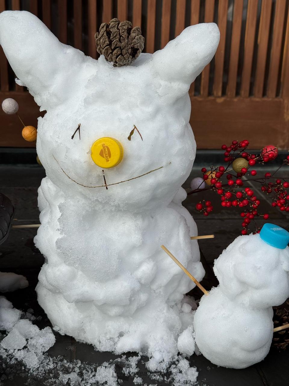 雪だるま☃️ 注目の空の写真 ウェザーニュース