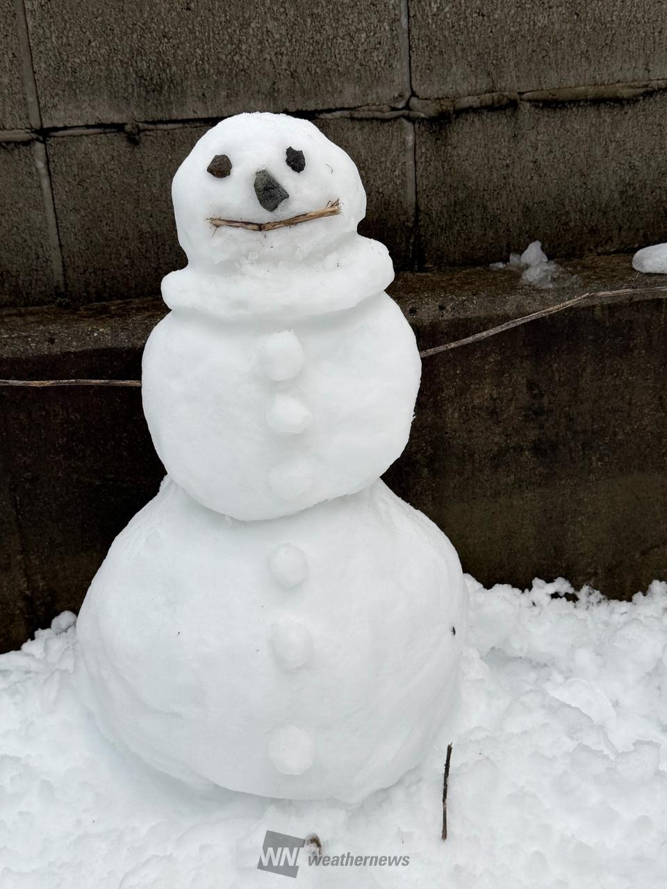 雪だるま☃️ 注目の空の写真 ウェザーニュース