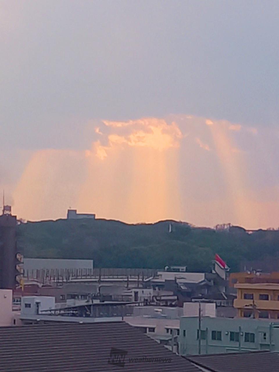 天使の梯子 注目の空の写真 ウェザーニュース