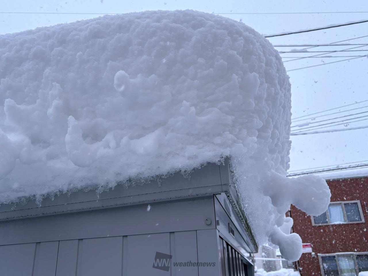 雪 積雪60センチの朝です。 小屋の屋根雪に | 青森県弘前市 | 46さん