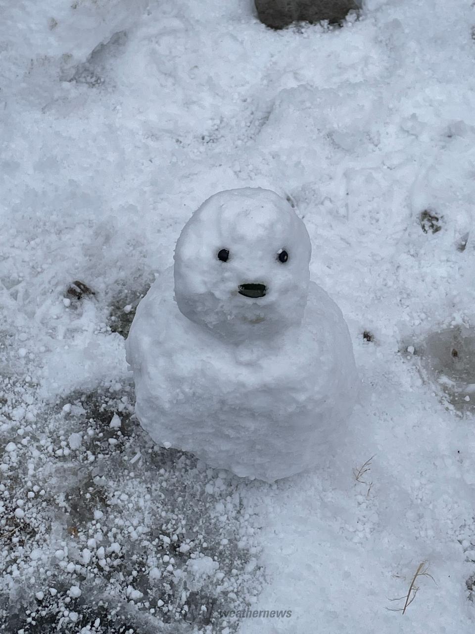 雪だるまページ 雪だるま 注目の空の写真 ウェザーニュース