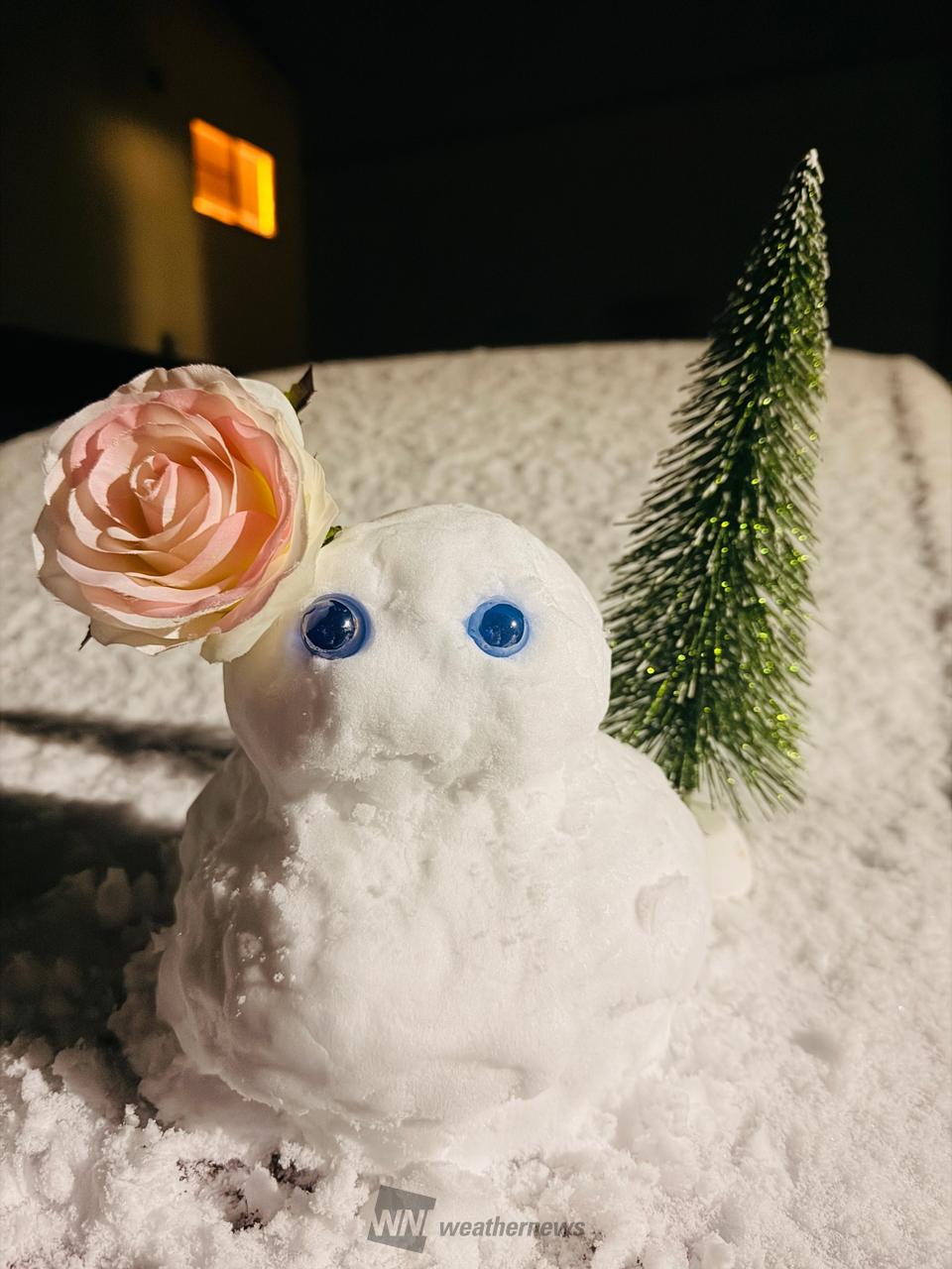 雪だるま 注目の空の写真 ウェザーニュース