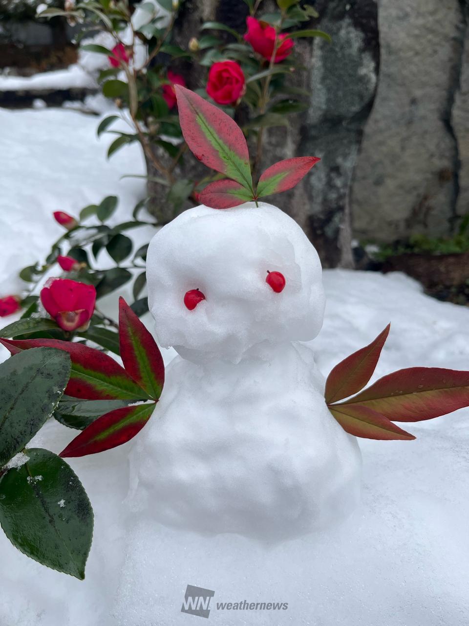 雪だるま⛄️ 注目の空の写真 ウェザーニュース