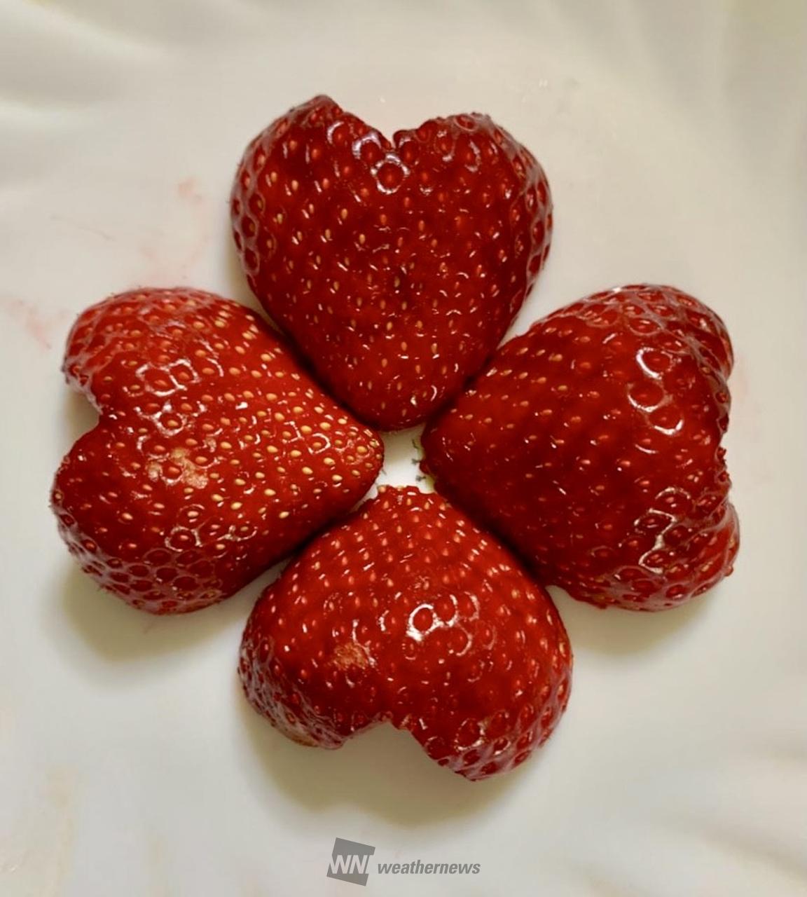 いちごの日🍓 注目の空の写真 ウェザーニュース