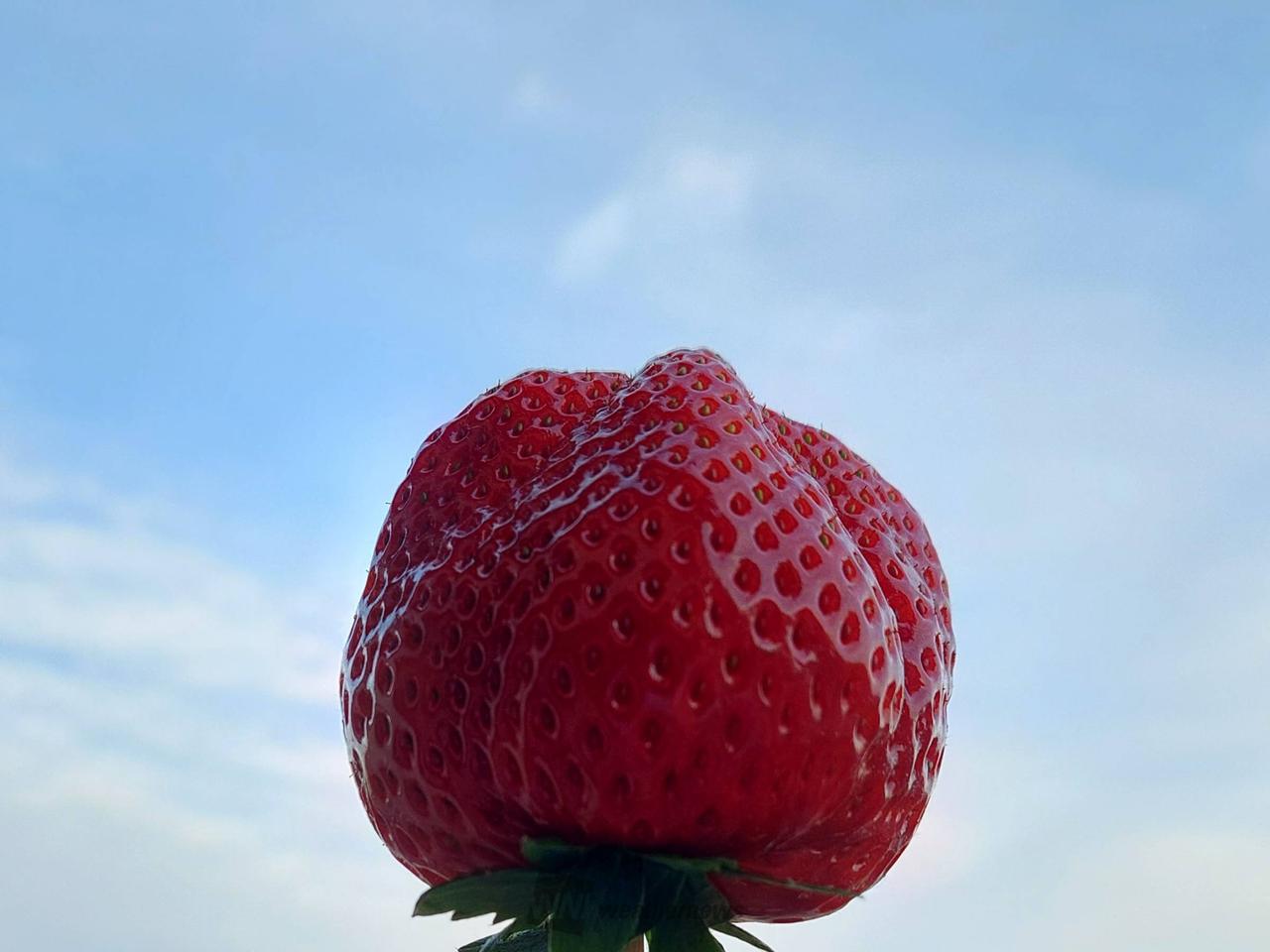いちごの日🍓 注目の空の写真 ウェザーニュース