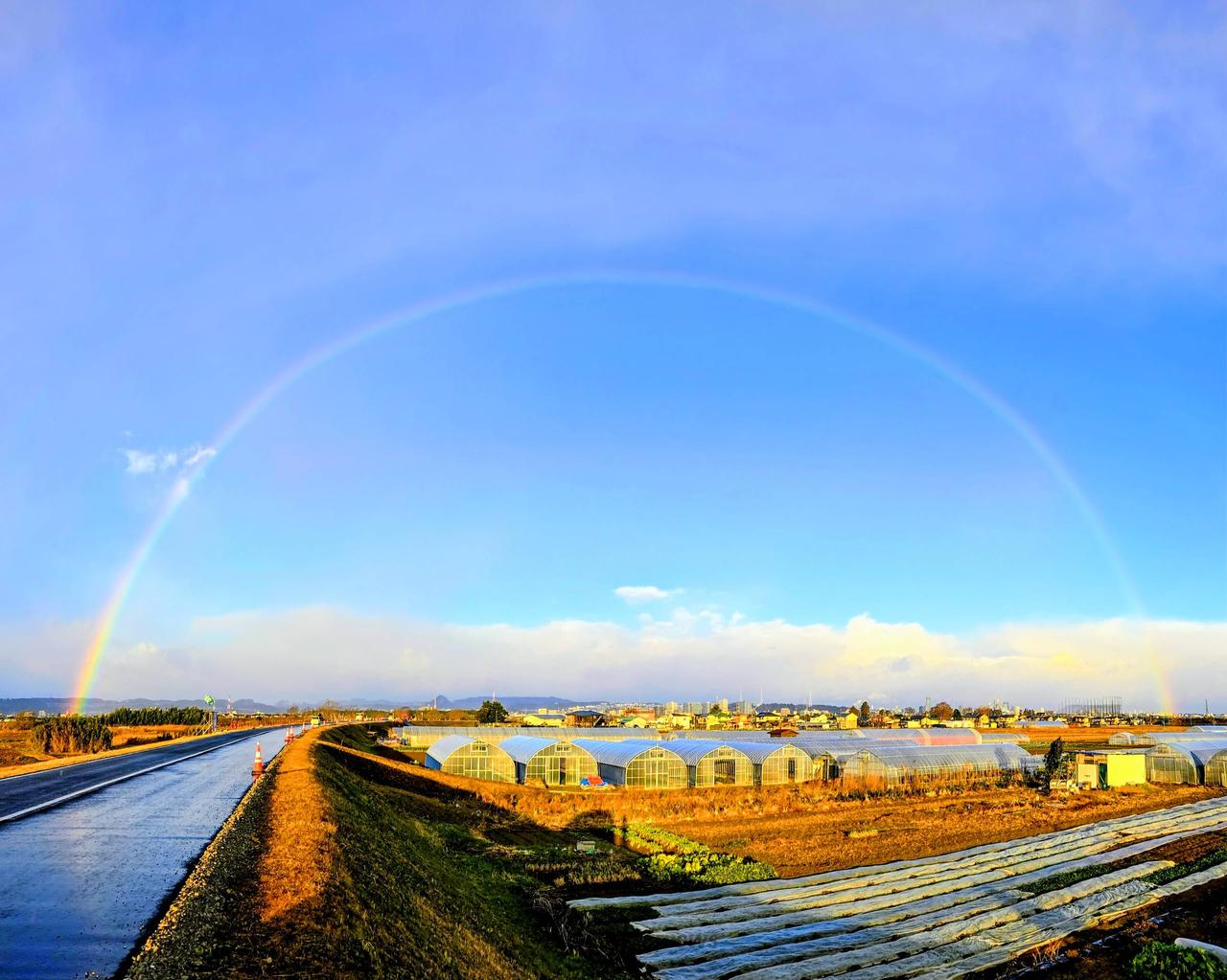 🌈虹が出現 注目の空の写真 ウェザーニュース