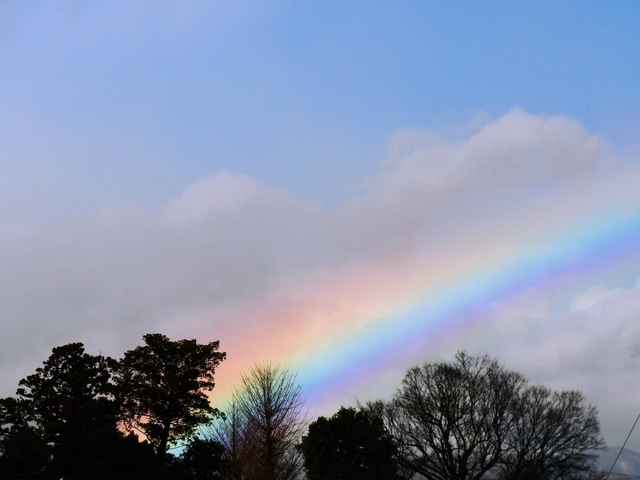 🌈虹が出現 注目の空の写真 ウェザーニュース