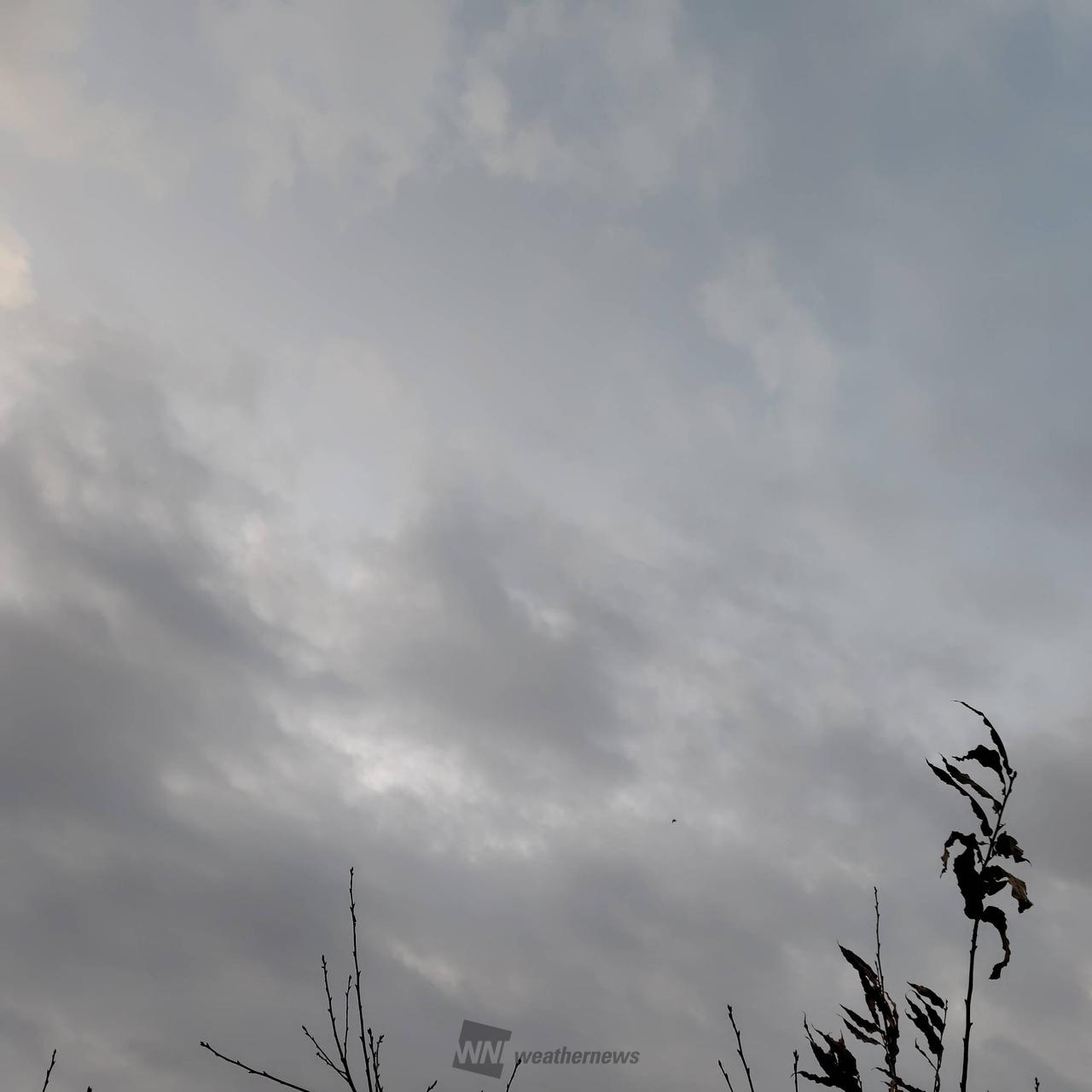 曇り おはようございます☀️曇り空です。風はあ | 千葉県木更津市 | ゆか