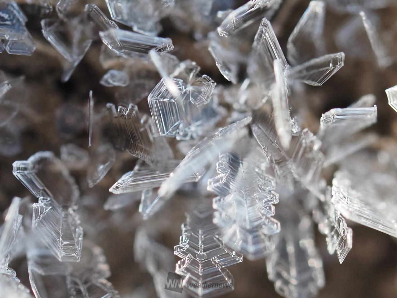 雪の結晶❄︎ 注目の空の写真 ウェザーニュース