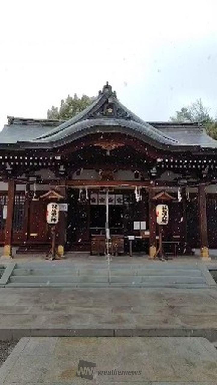 大阪や神戸も雪🌨️ 注目の空の写真 ウェザーニュース