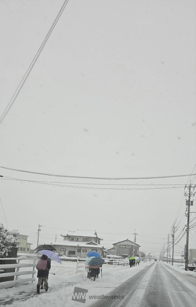 おはようございます。 気温−2℃ 積雪1 | 富山県滑川市 | Mottosan