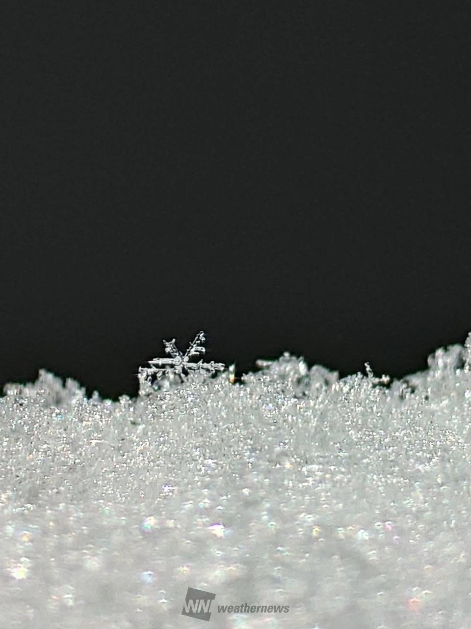 雪の結晶❄︎ 注目の空の写真 ウェザーニュース